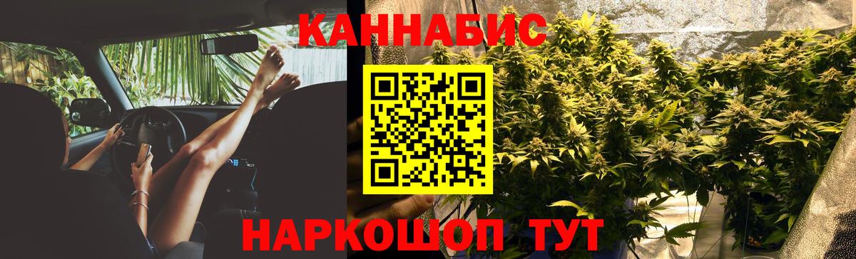 Шишки марихуана конопля  Вход с VPN  Бошки Шишки ГИДРОПОН  Бердск  Бошки Шишки LSD WEED 